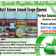 Illustration for article titled obat kutil alami di jual di apotekem/em
